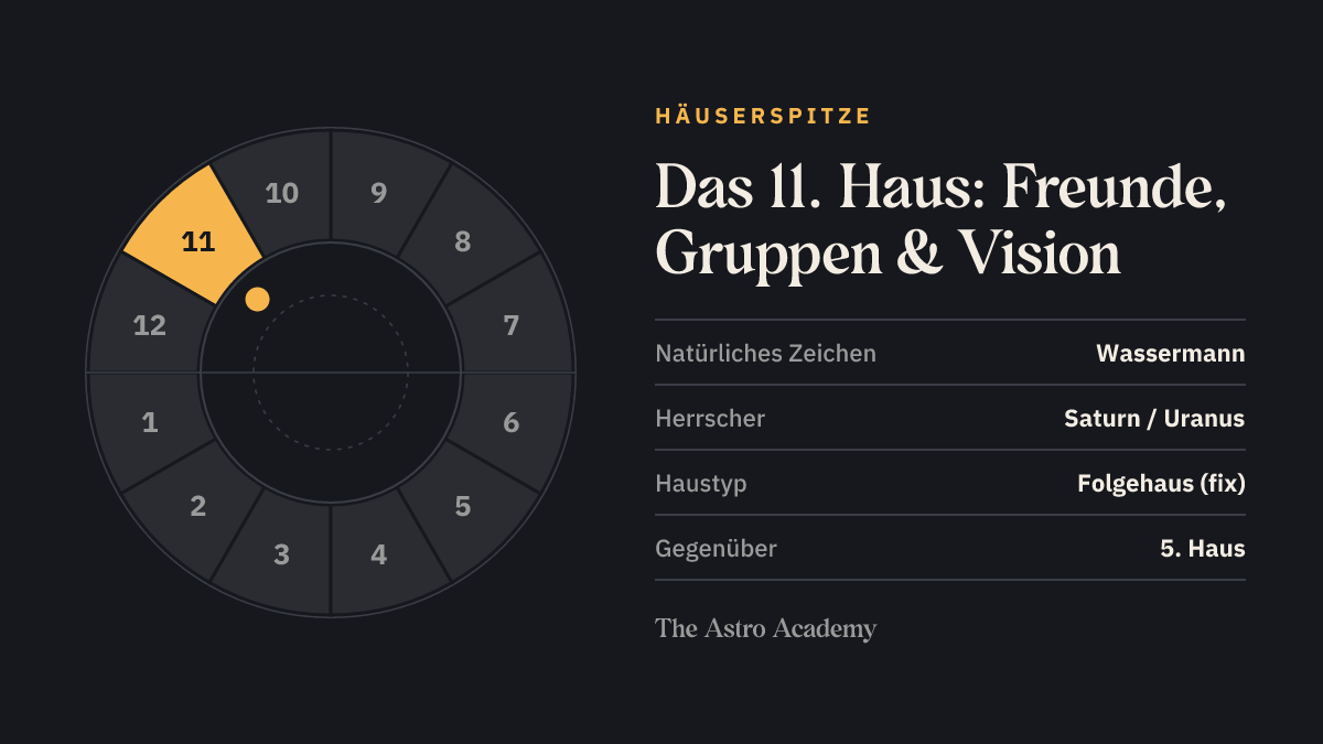 Häuserrad mit zwölf Feldern, das 11. Haus (Freunde, Gruppen & Vision) ist hervorgehoben