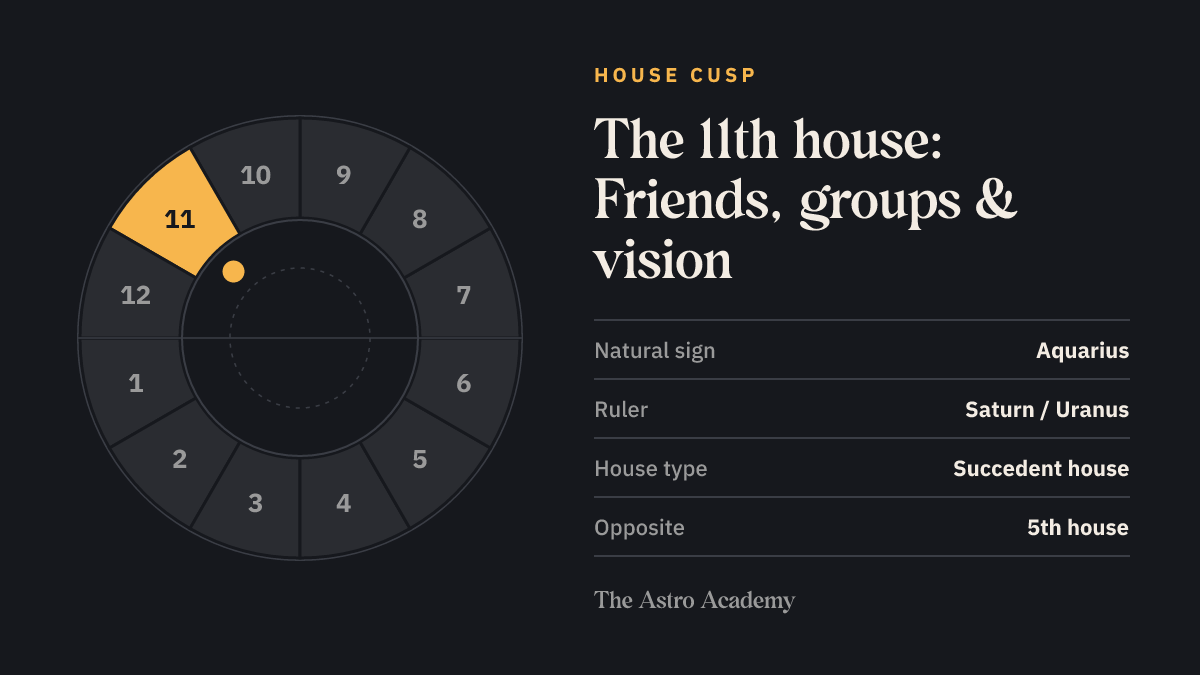 House wheel with twelve sections; the 11th house (Friends, groups & vision) is highlighted