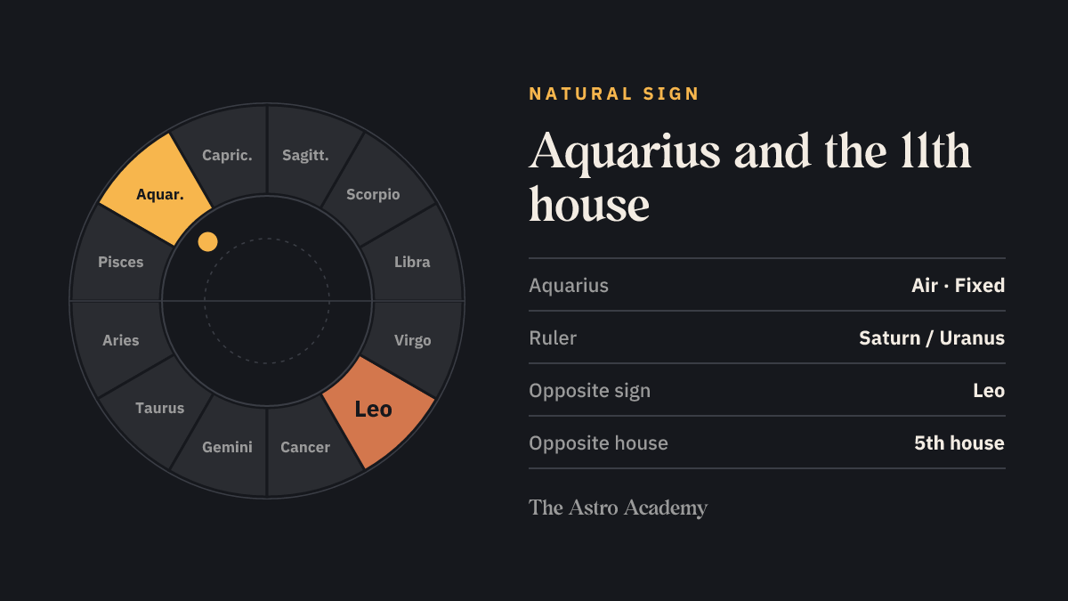 Zodiac wheel with Aquarius highlighted, the natural sign of the 11th house, plus its opposite sign Leo
