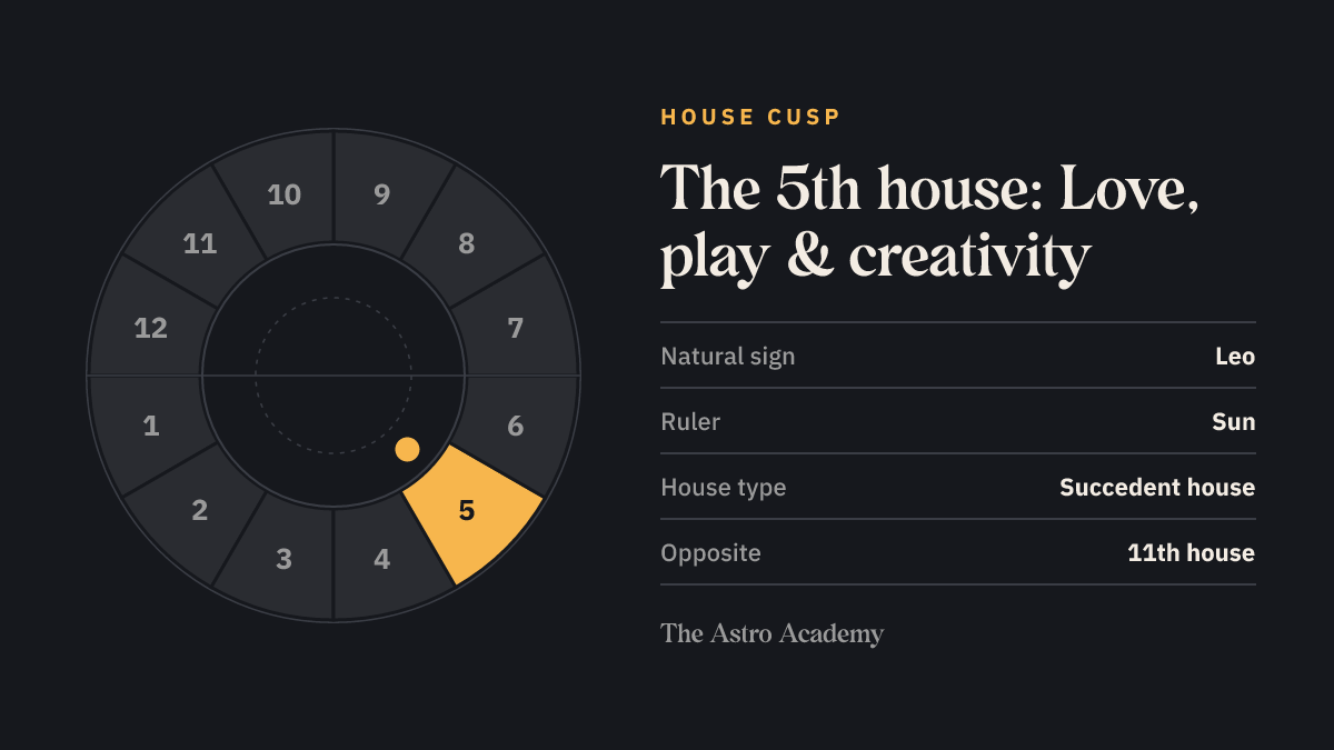 House wheel with twelve sections; the 5th house (Love, play & creativity) is highlighted