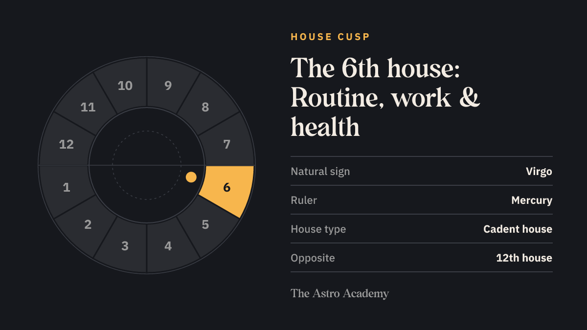 House wheel with twelve sections; the 6th house (Routine, work & health) is highlighted