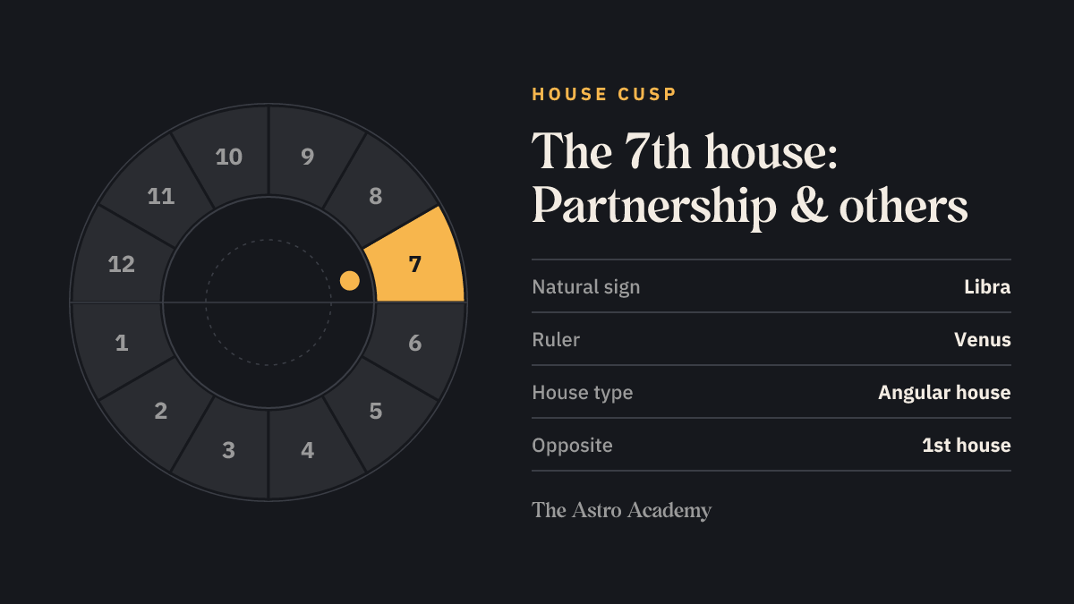 House wheel with twelve sections; the 7th house (Partnership & others) is highlighted