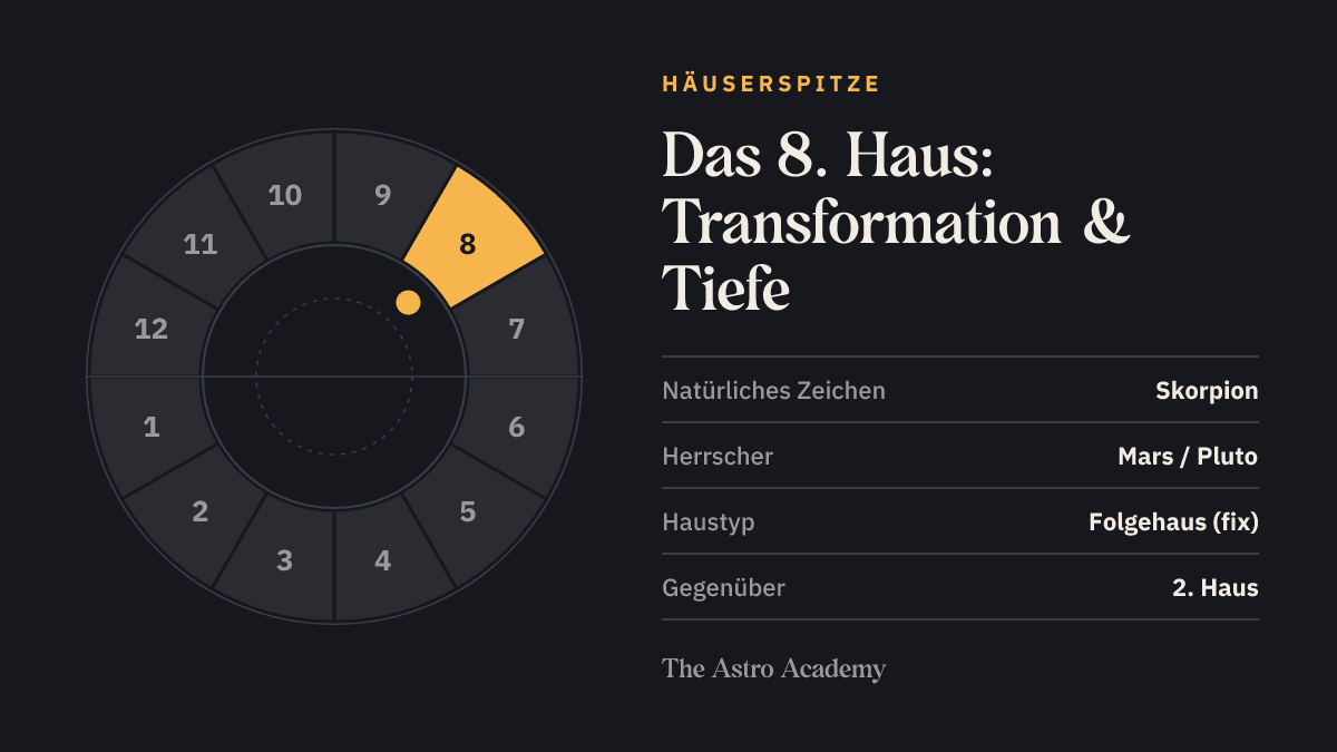 Häuserrad mit zwölf Feldern, das 8. Haus (Transformation & Tiefe) ist hervorgehoben