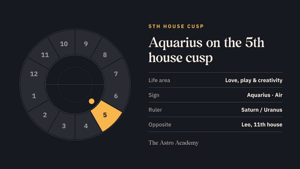 House wheel with the 5th house highlighted, with Aquarius on its cusp; opposite sits Leo on the 11th house