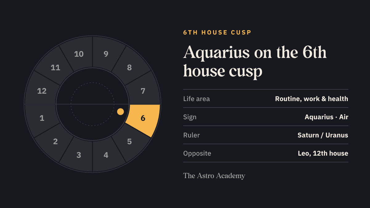 House wheel with the 6th house highlighted, with Aquarius on its cusp; opposite sits Leo on the 12th house