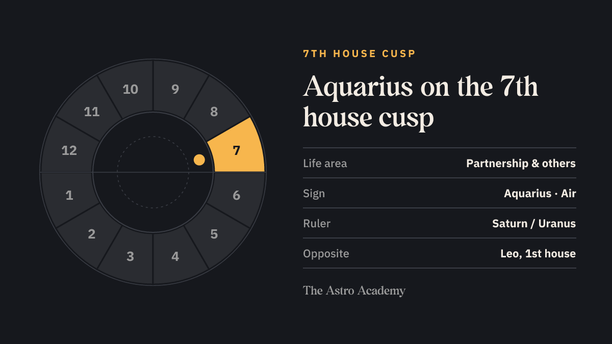 House wheel with the 7th house highlighted, with Aquarius on its cusp; opposite sits Leo on the 1st house