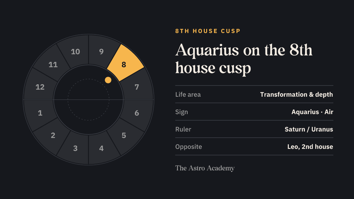 House wheel with the 8th house highlighted, with Aquarius on its cusp; opposite sits Leo on the 2nd house