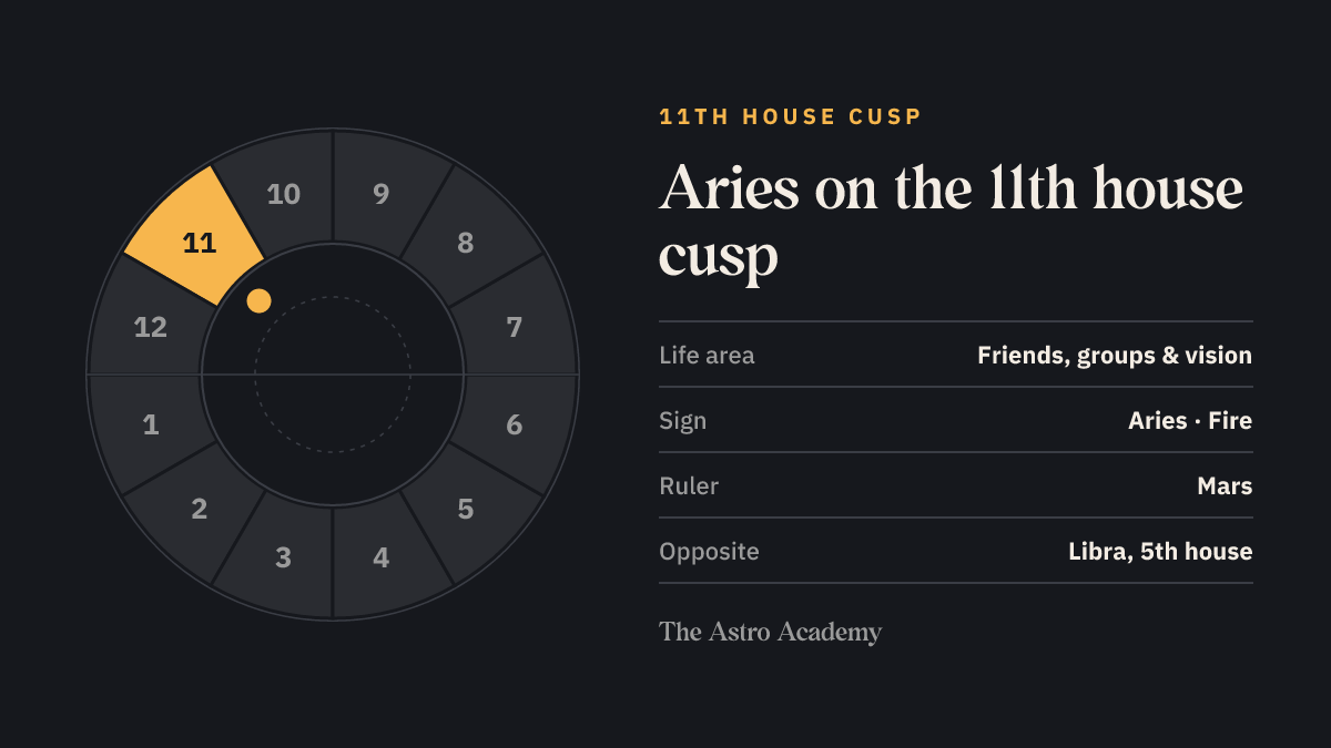 House wheel with the 11th house highlighted, with Aries on its cusp; opposite sits Libra on the 5th house