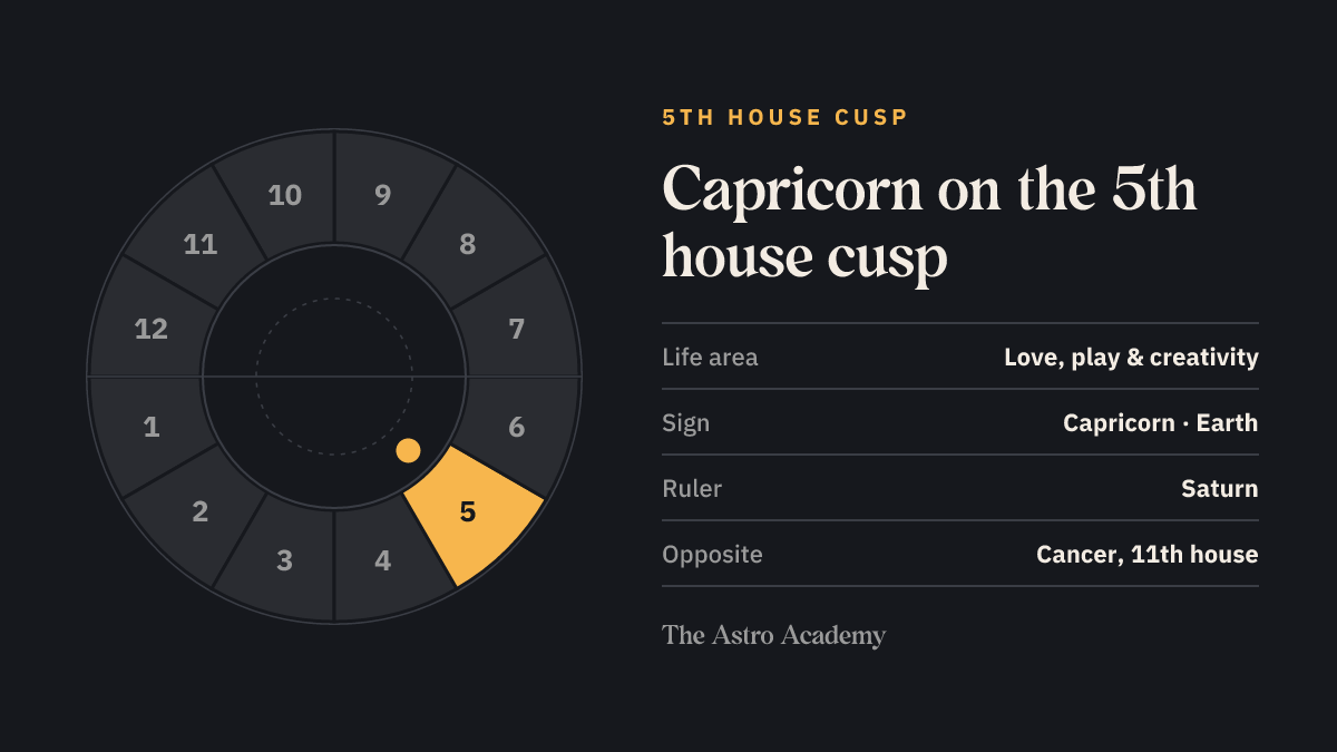 House wheel with the 5th house highlighted, with Capricorn on its cusp; opposite sits Cancer on the 11th house
