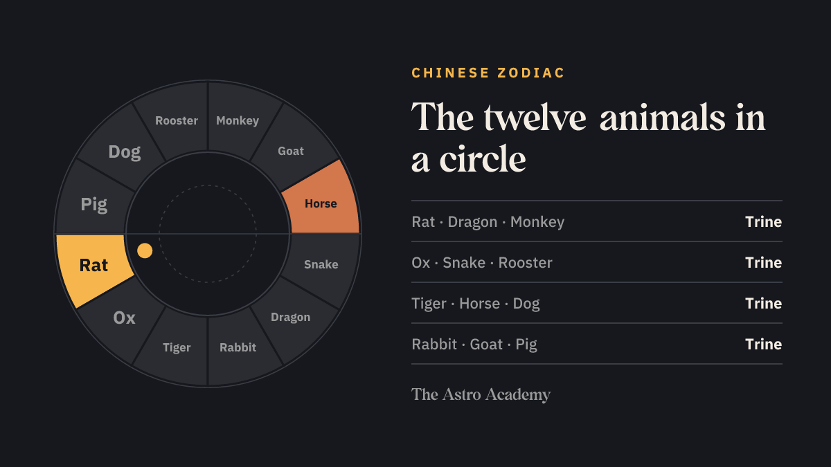 Circle of the twelve Chinese zodiac animals in their order, the Rat highlighted, the Horse opposite.