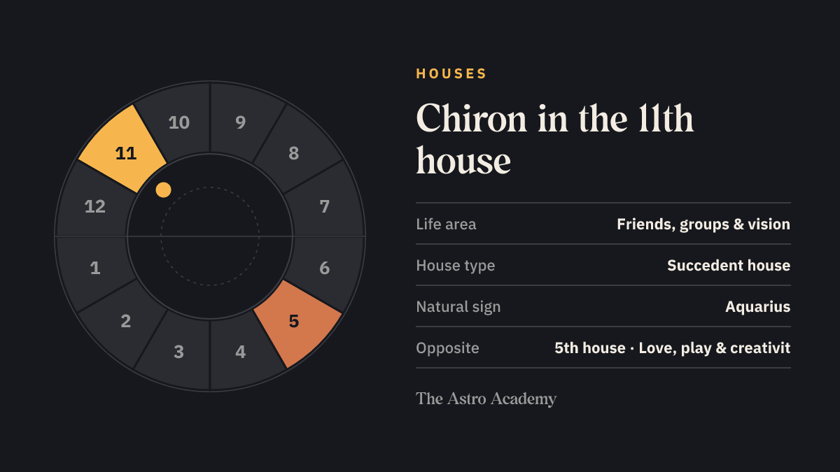 House wheel with twelve sections: the 11th house, where Chiron sits, is highlighted together with the opposite 5th house