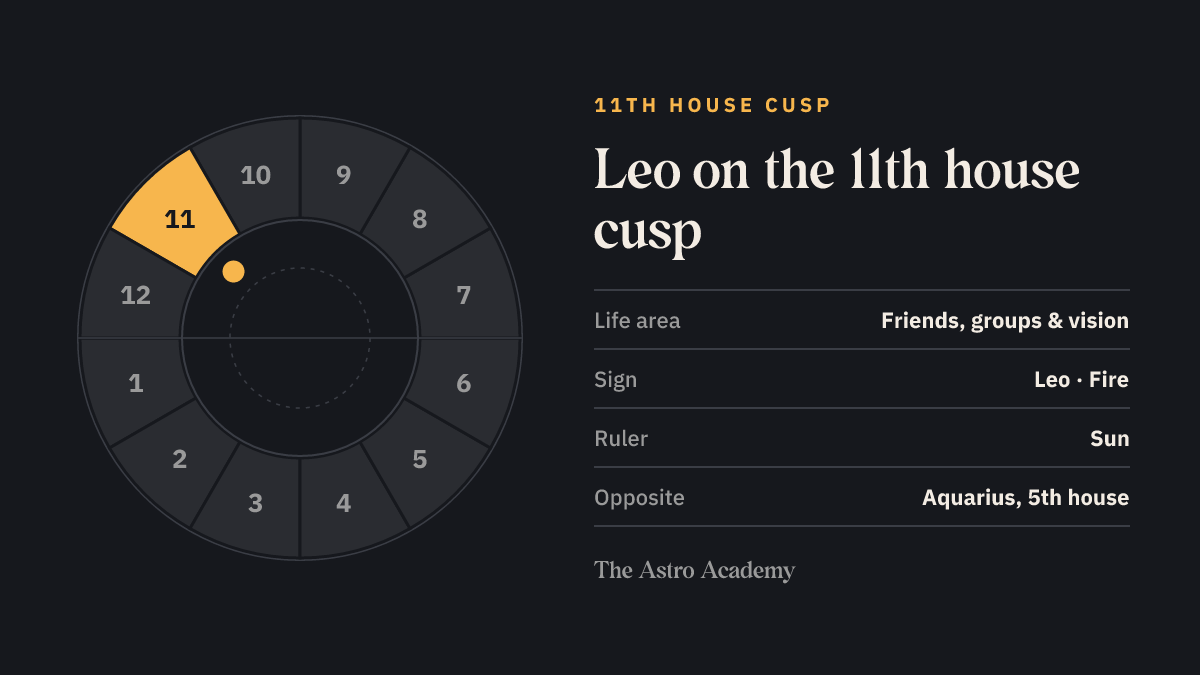 House wheel with the 11th house highlighted, with Leo on its cusp; opposite sits Aquarius on the 5th house