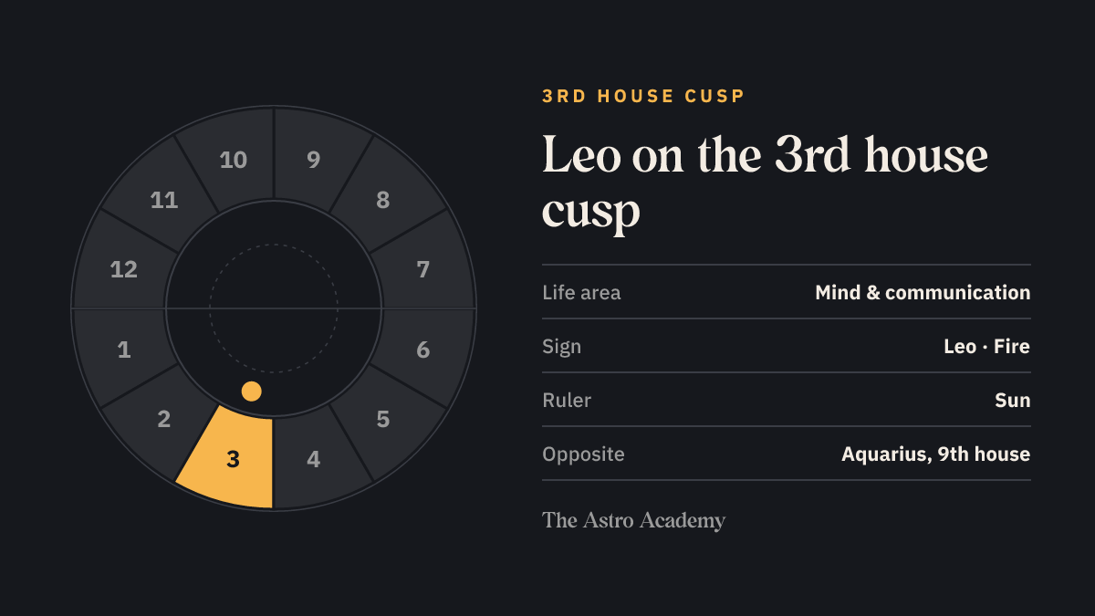 House wheel with the 3rd house highlighted, with Leo on its cusp; opposite sits Aquarius on the 9th house