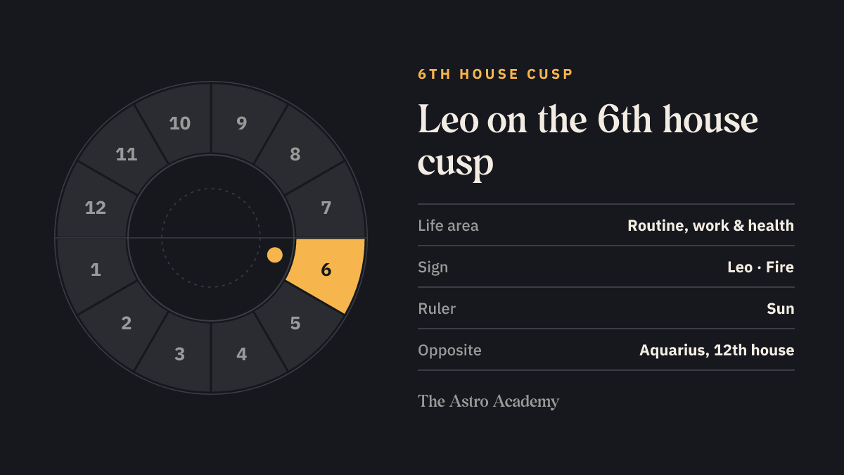 House wheel with the 6th house highlighted, with Leo on its cusp; opposite sits Aquarius on the 12th house
