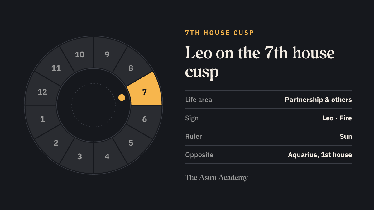 House wheel with the 7th house highlighted, with Leo on its cusp; opposite sits Aquarius on the 1st house