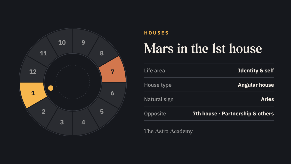 House wheel with twelve sections: the 1st house, where Mars sits, is highlighted together with the opposite 7th house