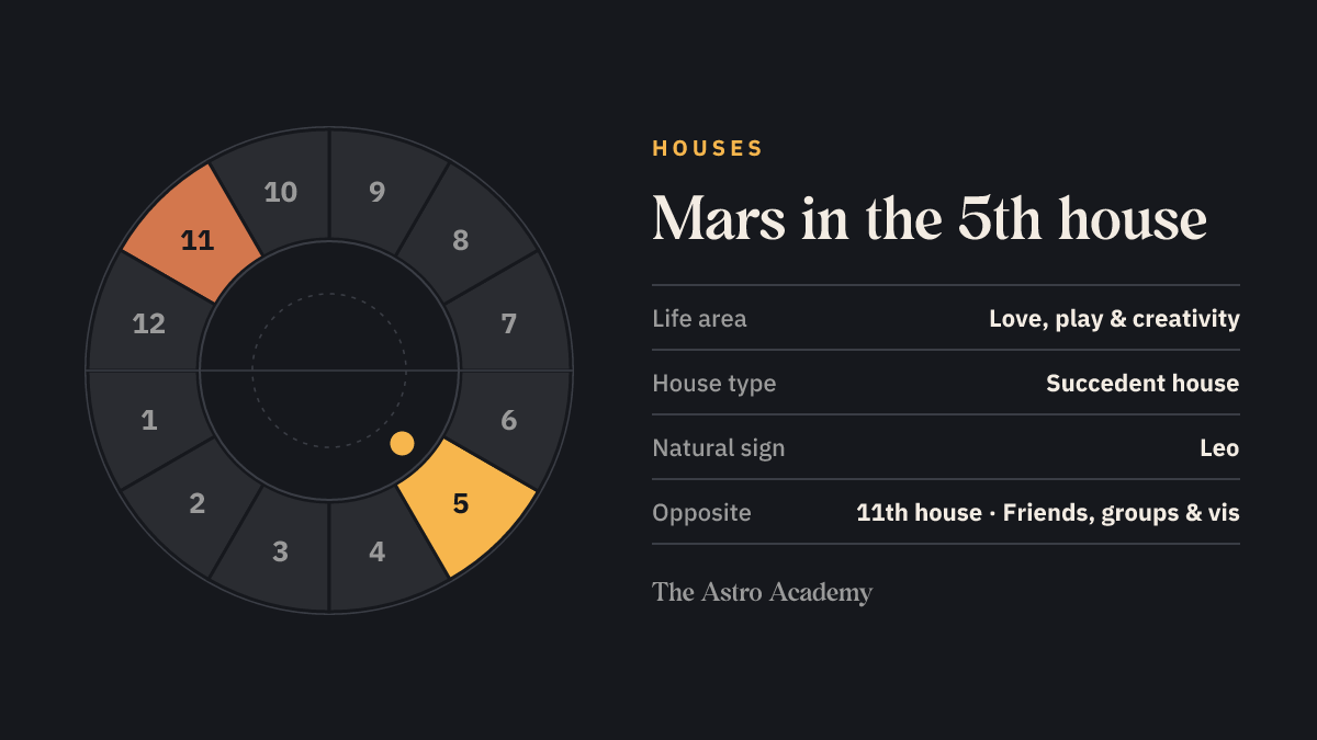 House wheel with twelve sections: the 5th house, where Mars sits, is highlighted together with the opposite 11th house