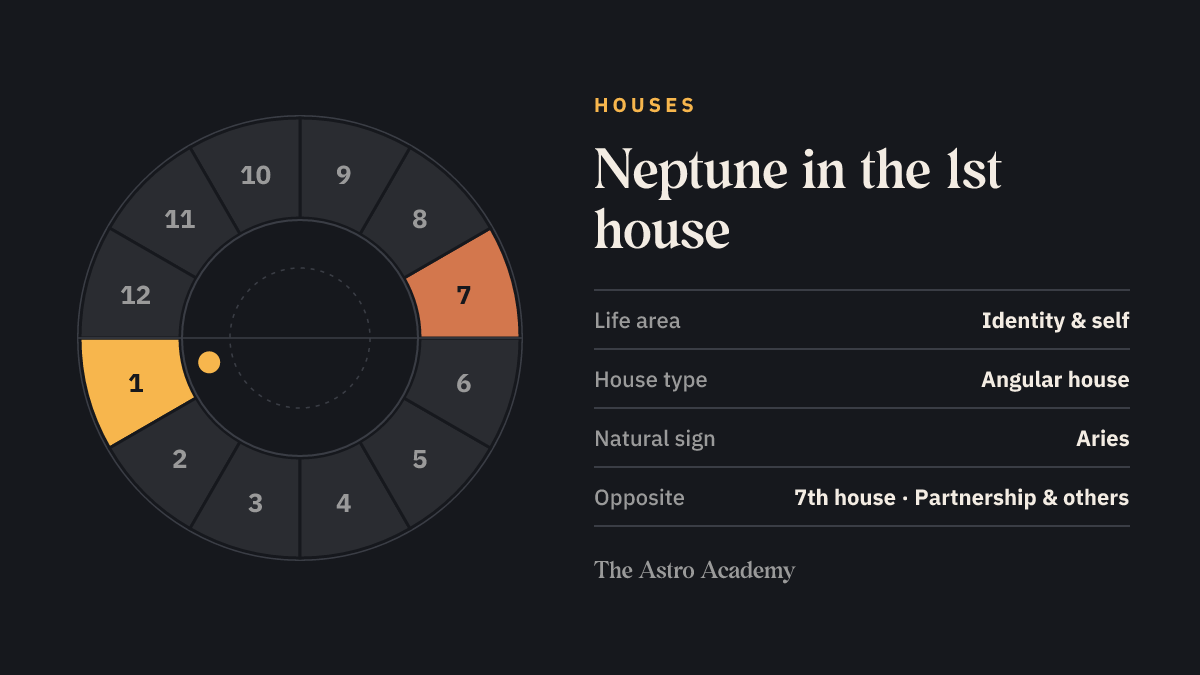 House wheel with twelve sections: the 1st house, where Neptune sits, is highlighted together with the opposite 7th house