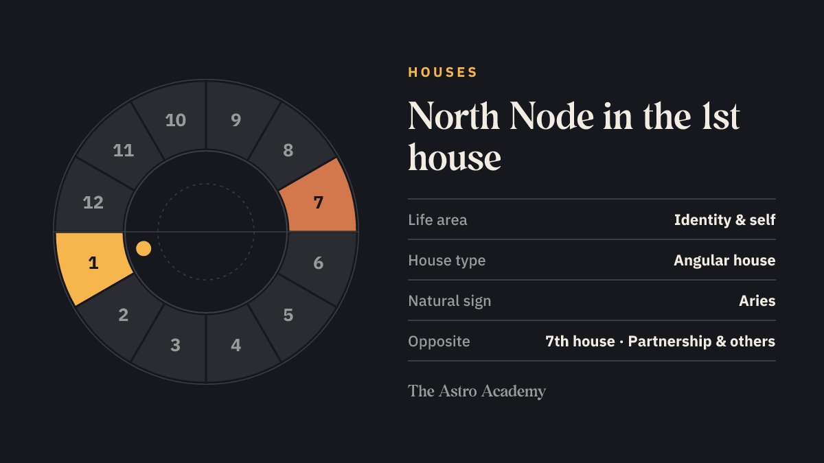 House wheel with twelve sections: the 1st house, where the North Node sits, is highlighted together with the opposite 7th house