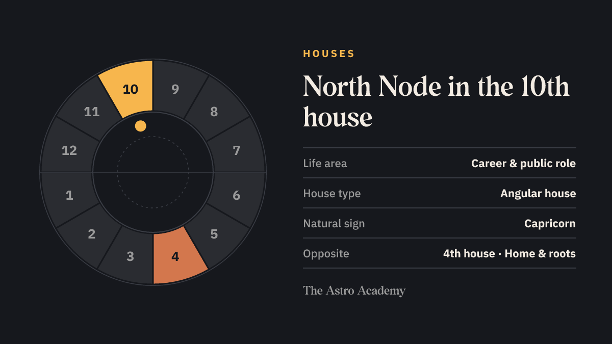 House wheel with twelve sections: the 10th house, where the North Node sits, is highlighted together with the opposite 4th house