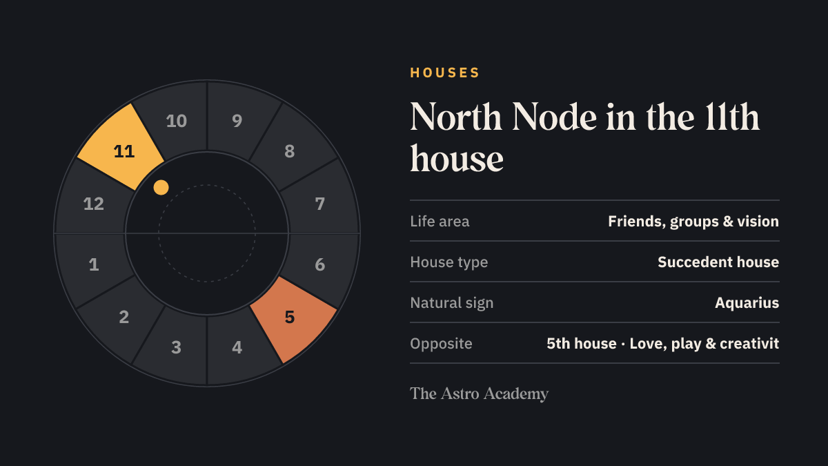 House wheel with twelve sections: the 11th house, where the North Node sits, is highlighted together with the opposite 5th house