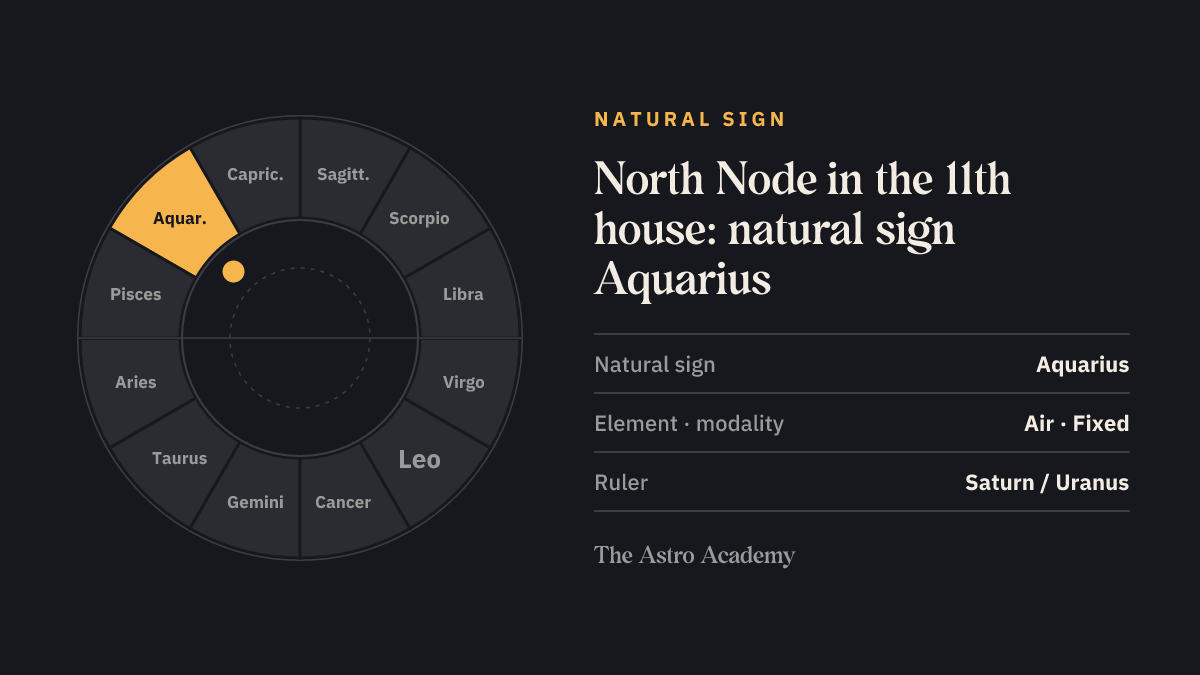 Zodiac wheel with Aquarius highlighted, the natural sign of the 11th house, where the North Node sits