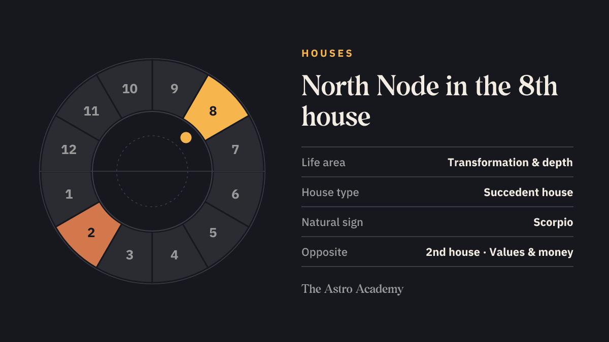 House wheel with twelve sections: the 8th house, where the North Node sits, is highlighted together with the opposite 2nd house