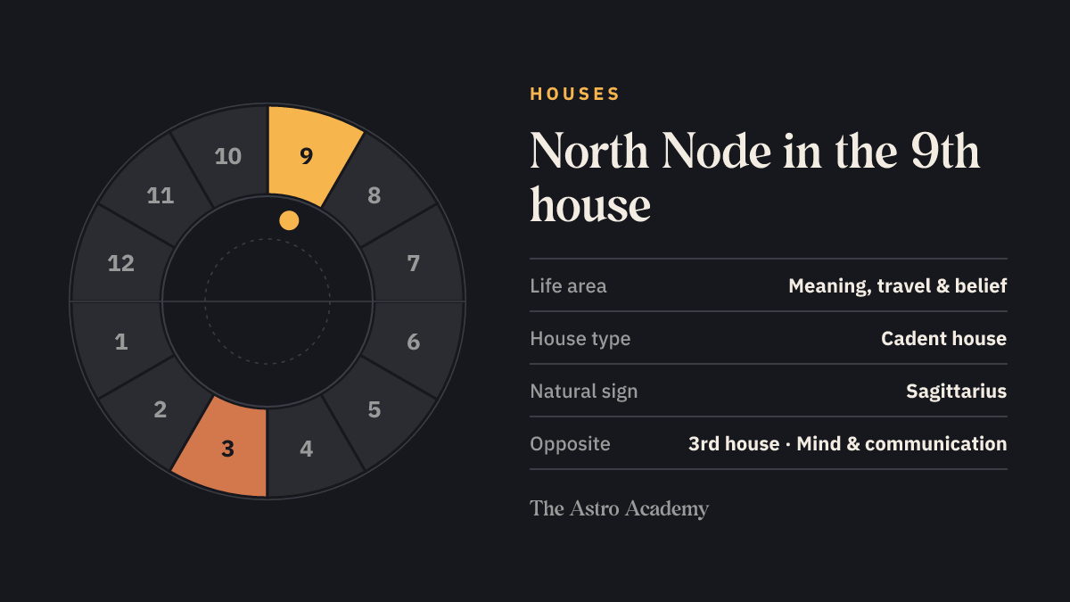 House wheel with twelve sections: the 9th house, where the North Node sits, is highlighted together with the opposite 3rd house