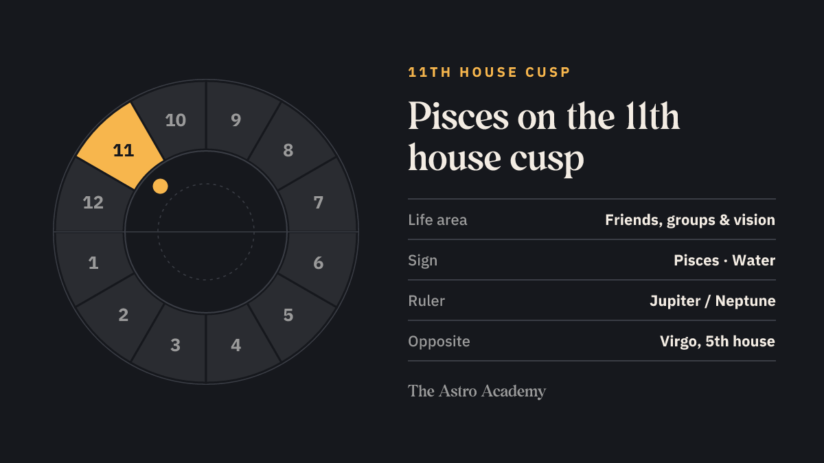 House wheel with the 11th house highlighted, with Pisces on its cusp; opposite sits Virgo on the 5th house