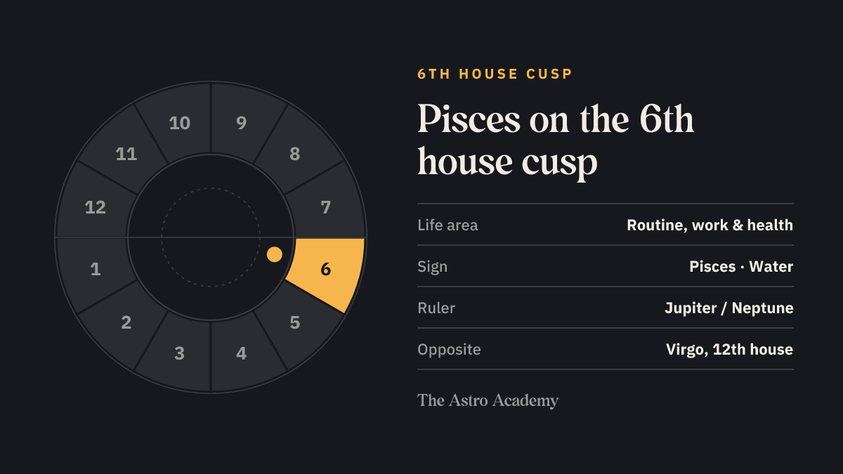 House wheel with the 6th house highlighted, with Pisces on its cusp; opposite sits Virgo on the 12th house