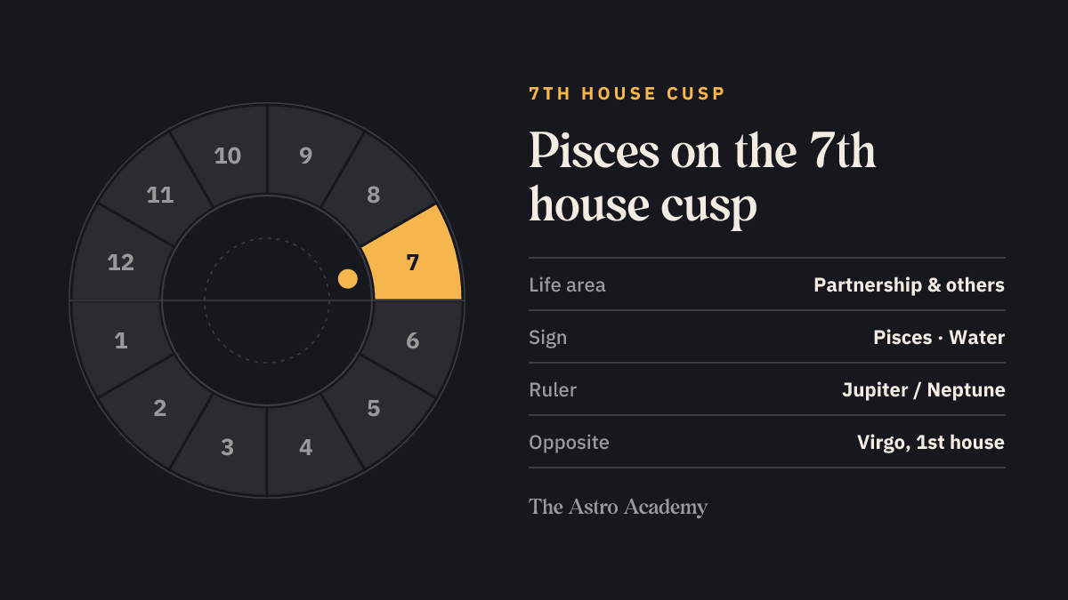 House wheel with the 7th house highlighted, with Pisces on its cusp; opposite sits Virgo on the 1st house