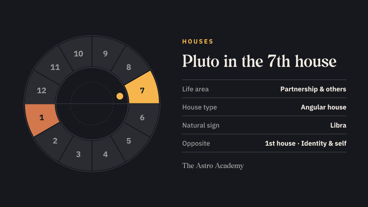 House wheel with twelve sections: the 7th house, where Pluto sits, is highlighted together with the opposite 1st house