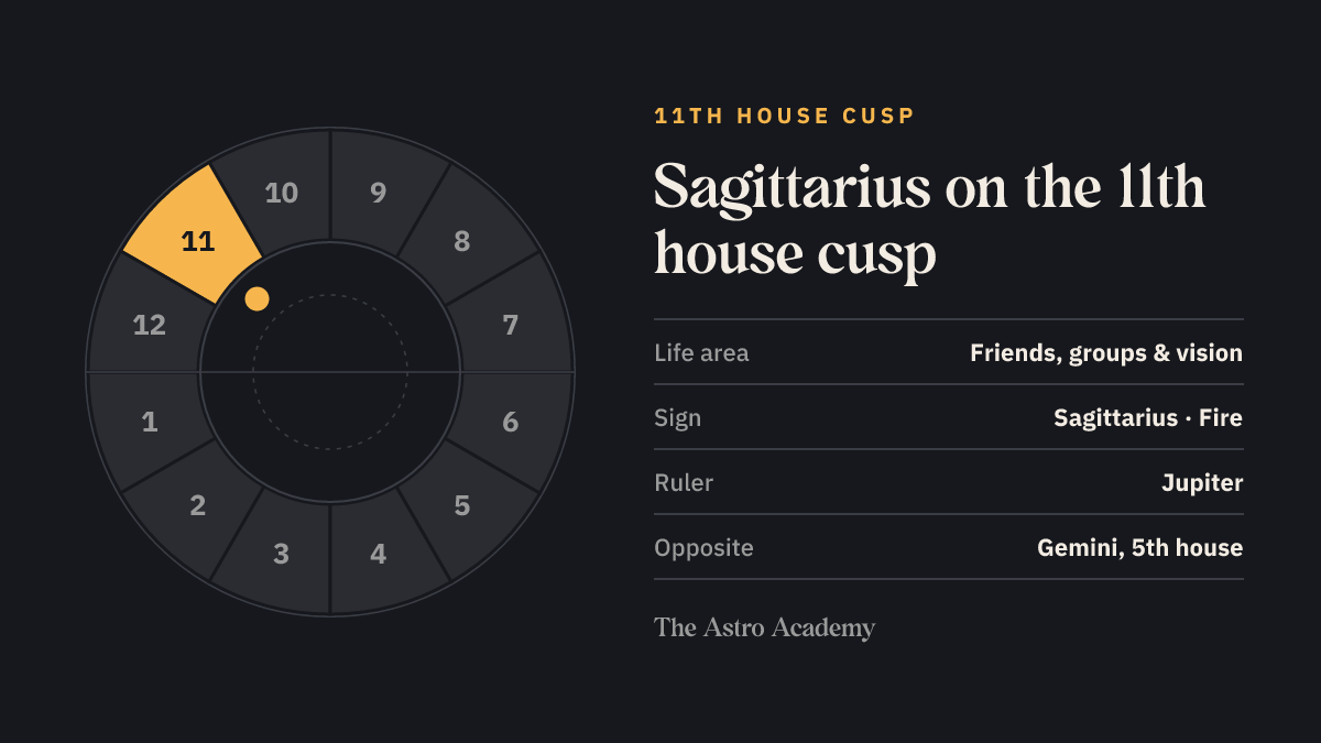 House wheel with the 11th house highlighted, with Sagittarius on its cusp; opposite sits Gemini on the 5th house