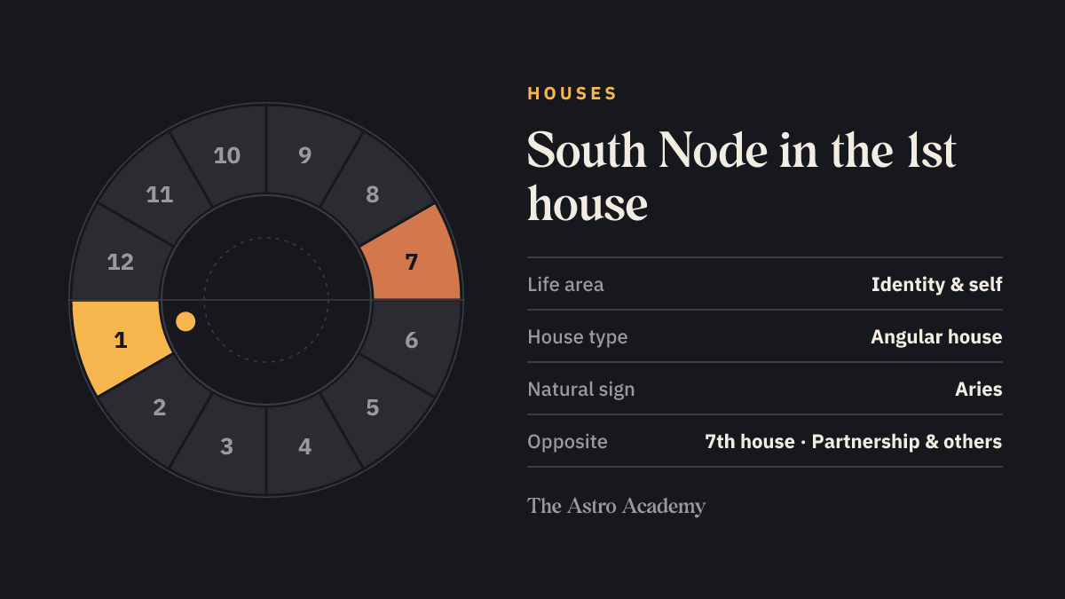 House wheel with twelve sections: the 1st house, where the South Node sits, is highlighted together with the opposite 7th house