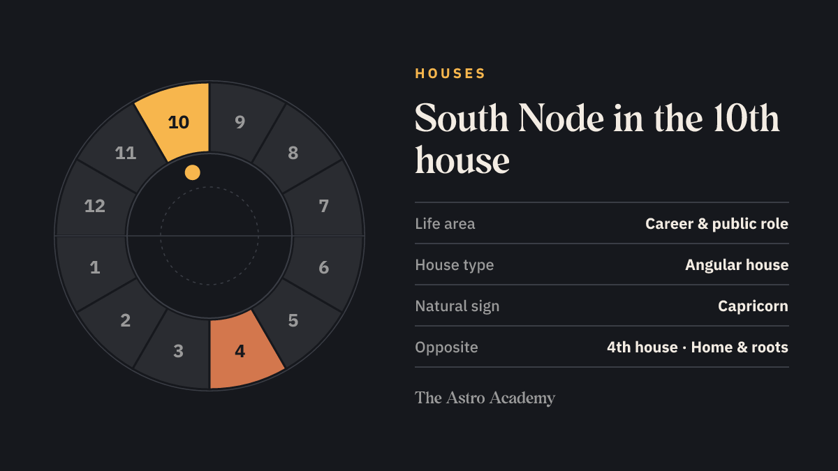House wheel with twelve sections: the 10th house, where the South Node sits, is highlighted together with the opposite 4th house