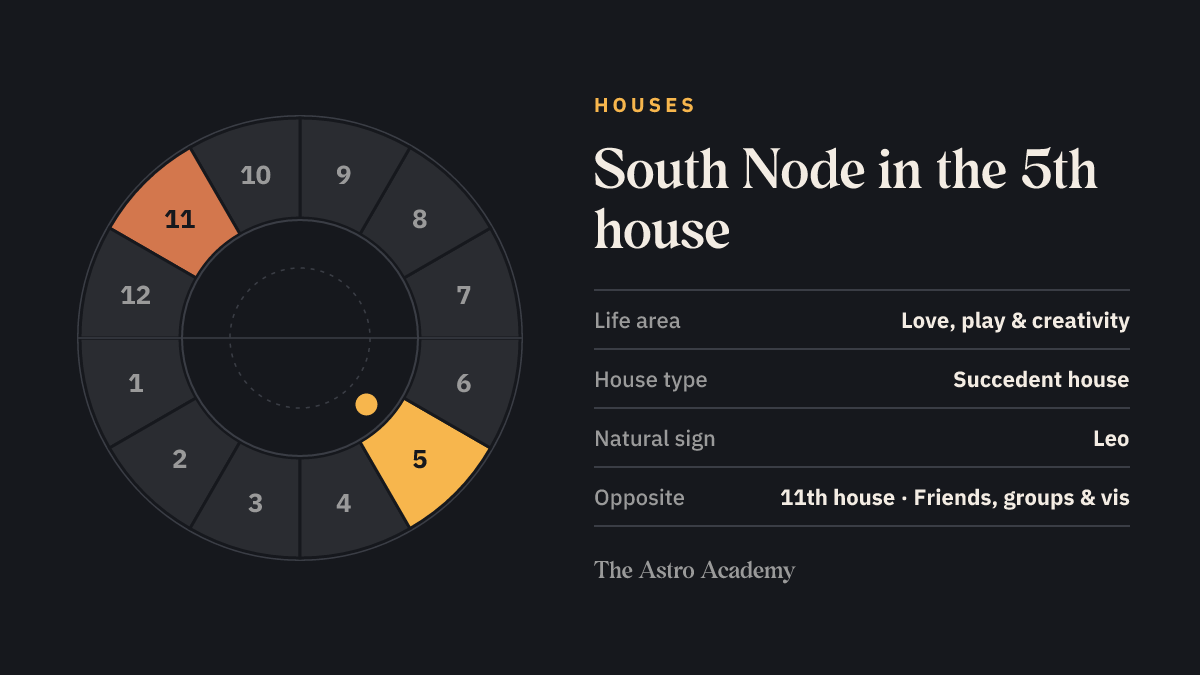 House wheel with twelve sections: the 5th house, where the South Node sits, is highlighted together with the opposite 11th house