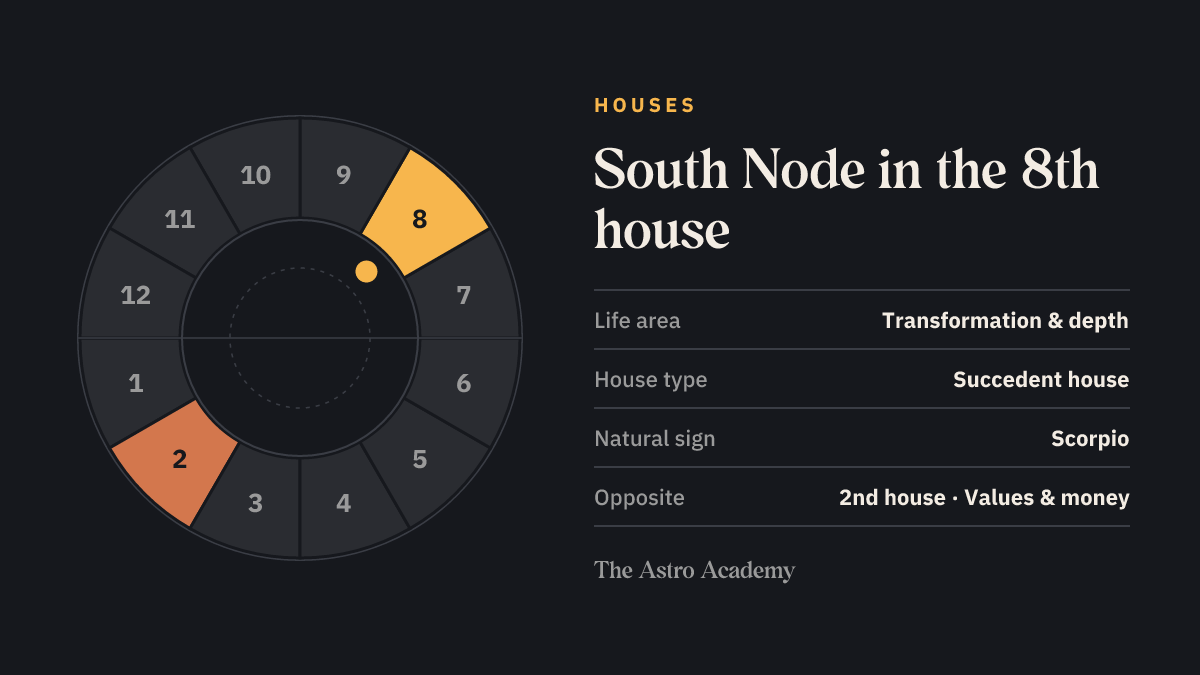 House wheel with twelve sections: the 8th house, where the South Node sits, is highlighted together with the opposite 2nd house