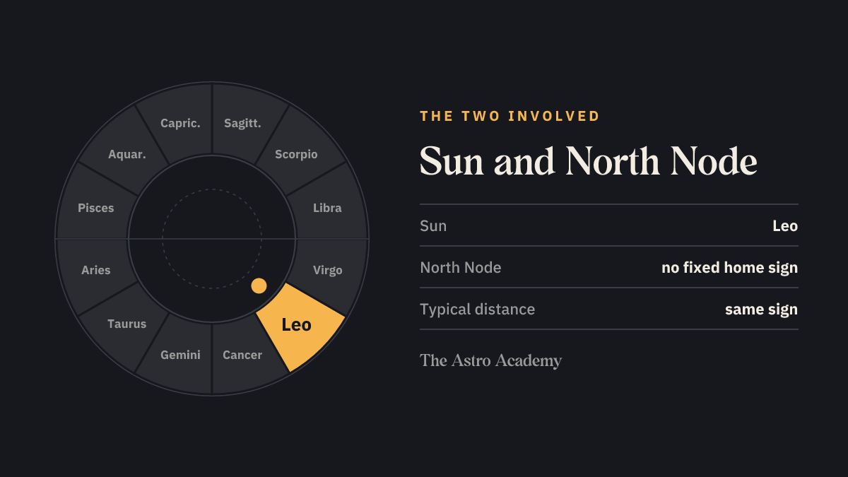 Zodiac wheel showing the home fields of Sun (Leo) and North Node (no fixed home sign)