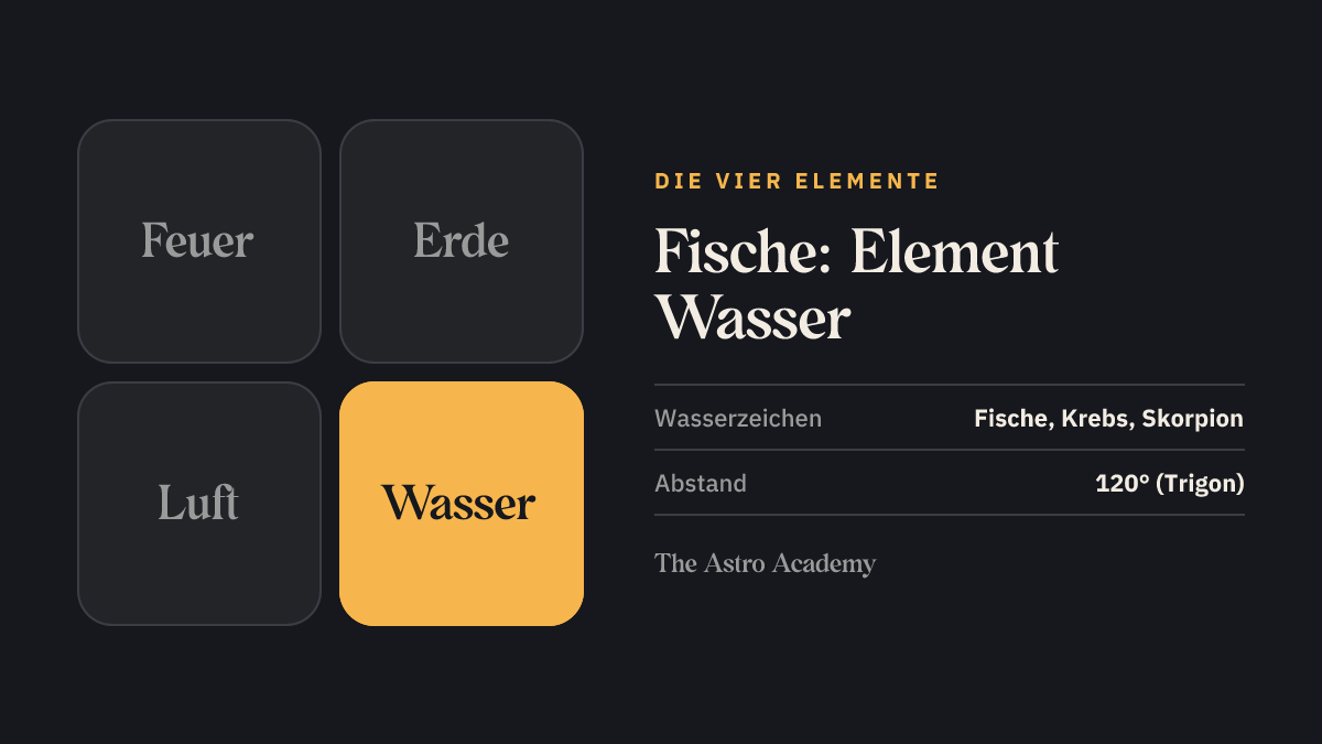 Grafik der vier Elemente mit Wasser hervorgehoben — dem Element von Fische, Krebs und Skorpion.