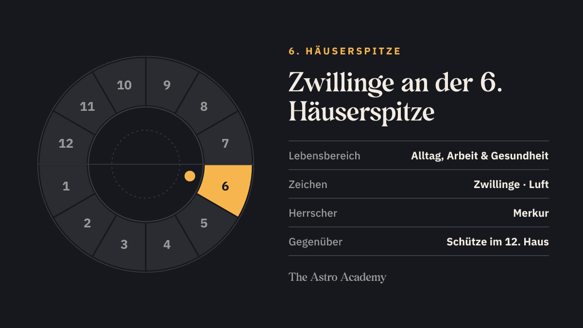 Häuserrad mit hervorgehobenem 6. Haus, an dessen Spitze Zwillinge steht; gegenüber liegt Schütze im 12. Haus